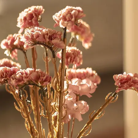 Warmstay I Ferienunterkunft Mit Balkon I Key-box Check-in דירה