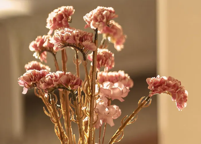 Nicht Buchen アパート